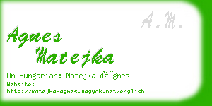 agnes matejka business card